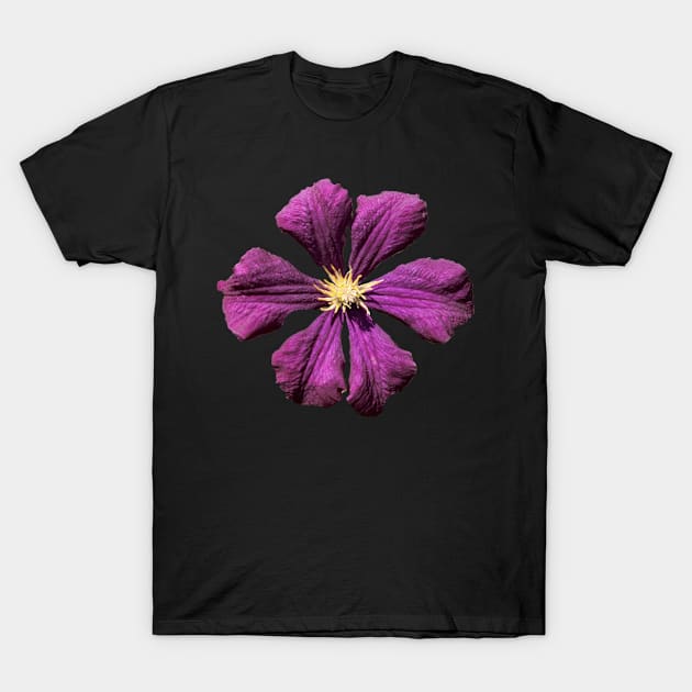 Purple Clematis T-Shirt by CAutumnTrapp